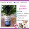 Natural Pet Deodorizer Spray