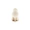 Grace Florence 2 INCH Pure