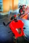ducati monster821 m821 ซื้อขายรถดูคาติมือสอง ราคาถูก ducati for sale ของแต่ง อะไหล่แต่ง termignoni ท่อเทอมิ ครอบคลัชใส ปั๊มเบรมโบ้ brembo rcs กันสะบัดโอลิน ohlins