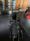 BMW R18 First Edition Berlin Built รถมือสอง ราคาถูก