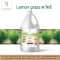 สบู่เหลว Liquid Soap (8 Top scents for spa & hotel) กลิ่นยอดนิยมสำหรับโรงแรมและสปา