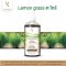 สบู่เหลว Liquid Soap (8 Top scents for spa & hotel) กลิ่นยอดนิยมสำหรับโรงแรมและสปา