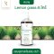 แชมพูสมุนไพร Herbal Shampoo (8 Top scents for spa & hotel) กลิ่นยอดนิยมสำหรับโรงแรมและสปา(copy)