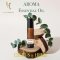 Aroma Inhaler With Roller : พิมเสนน้ำอโรม่า ยาหม่องน้ำ : Citrus & Herb