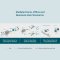 TP-LINK MC200CM Gigabit Multi-Mode Media Converter