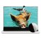 VIVIDSTORM S PRO 130" Motorized Tension Floor Rising UST ALR Projector Screen