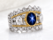 A Crown of Celestial Light