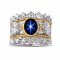 A Crown of Celestial Light