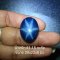 Tanusorn natural star sapphire 51.15 carat