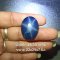 Tanusorn natural star sapphire 46.30 carat