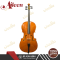 Aileen Antonius Cello CG001