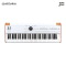 Arturia - AstroLab 61( Avant-garde Stage Keyboard )