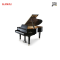 SHIGERU KAWAI SK-5
