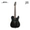 Motion TL2-HH / Electric Guitar model Telecaster