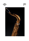 เทเนอร์ แซกฯ Selmer รุ่น SUPREME (Lacq)