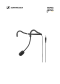 Sennheiser HT 747