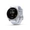 Garmin Fenix 8 (43 mm, AMOLED) Smartwatch สมาร์ทวอทช์ นาฬิกาอัจฉริยะ