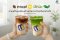 กาแฟ VS มัทฉะ คาเฟอีนเหมือนกันแต่แตกต่างกันอย่างไง?​