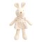 ตุ๊กตากระต่ายเอมี่ ออเเกนิค Large Baby Doll - Amy The Bunny 19.6 inches  - John N Tree Organic