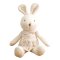 ตุ๊กตากระต่ายเอมี่ ออเเกนิค Large Baby Doll - Amy The Bunny 19.6 inches  - John N Tree Organic