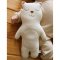 ตุ๊กตาลูกหมี ออเเกนิค Baby First Doll - Baby Bear 13.7 inches - John N Tree Organic