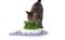 ชุดปลูกหญ้าแมว Catit รุ่น Senses GrassGarden Kit