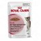 อาหารแมว รอยัล คานิน Royal Canin Kitten instinctive Pouch อาหารเปียกเกรวี่