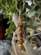 Gold Amulet Tube with Sacred Scroll and "Luk Sakot" Core