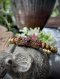 สายประคำข้อมือตะกรุด ศิลปะ ความเชื่อ และร่องรอยกาลเวลา