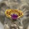 Vintage Ruby Ring Size 53 (vintage jewelry)