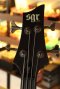Schecter SGR C-4 (3.5kg)