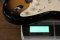 Fender Custom shop’56 Choset Classic John Cruz JCQC 2000 Sunburst Flame Neck (3.2kg)