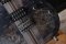 Ibanez RGT1221PB Deep Twillight Flat 2021 (3.0kg)