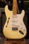 Fender Eric Johnson Signature Stratocaster Thinline 2018 (3.0kg)