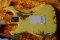 Fender Custom shop'1963 Heavy Relic Grafitti Yellow 2020 (3.5kg)