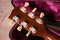 Gibson Es175 1972 Sunburst Original (3.0kg)