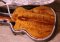 Eastman AC822C Koa Limited 2020