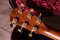 Taylor 918e First Edition Grand Sympony 2013 Limited 100