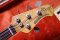Music Man StringRay 20th Anniversary 1976-1996 Limited Edition (3.9kg)