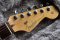 Fender American Professional HH Shawbucker 2017 Sonic Grey