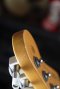 Fender American Standard Siena Burst Ash 2010 (3.7kg)