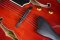 Eastman T146SM Classic 2022 (2.4kg)