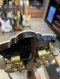Guild JF55 Jumbo Natural 1997-1999 Westerly Usa