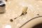 John Page The Ashburn White HH Japan (3.7kg)