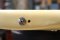 Fender Eric Clapton Olympic White 2000 (3.6kg)