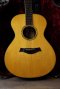 Taylor GC8 Natural 2010 Usa