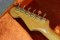 Fender Stevie Ray Vaughan SRV stratocaster 2004 (3.5kg)