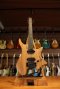 Strandberg Boden Prog NX 6 Plini Edition (2.3kg)