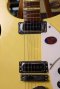 Rickenbacker 620 Limited Edition (3.6kg)