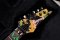 Ibanez Jem77FP1 Steve Vai signature 1990 (3.7kg)